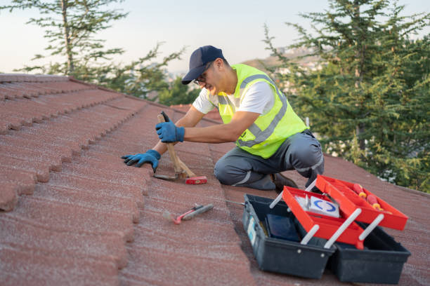 Best Emergency Roof Repair Services  in Warren, IL